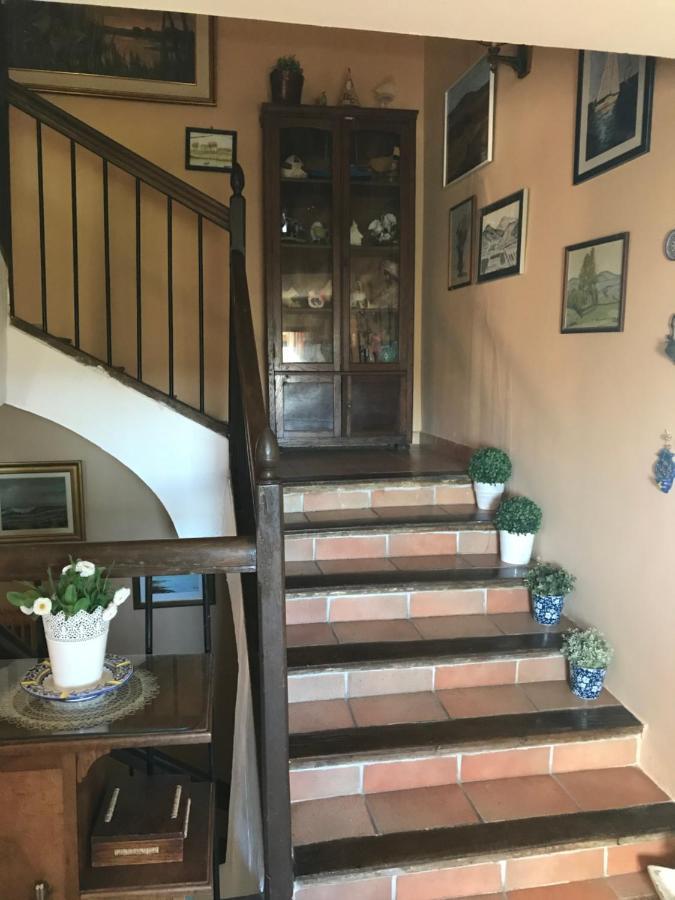 Affittacamere El Olivo De Sansol Esterno foto